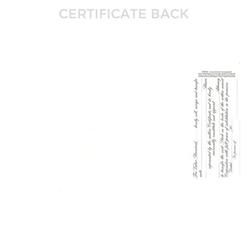 Goes 720 Stock Certificate, Incorporation Certificates, Size 8-1/2" x 15", Printable, Laser or Ink Jet Compatiable (Pack of 5) - Image 2