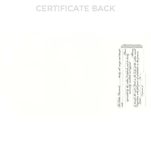Goes 722 Stock Certificate, Company Stock Certificate, Size 8-1/2" x 15", Printable, Laser or Ink Jet Compatiable (Pack of 5) - Image 2