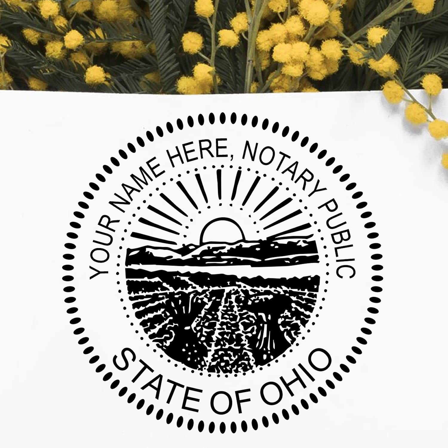 Premium Self-Inking Notary Stamp for Ohio Notary Public - Durable, Quick-Stamping, 1-5/8 Round Stamp - Ideal for Official Documents, Certificates, and Legal Papers - Quality Notary Stamp Ohio