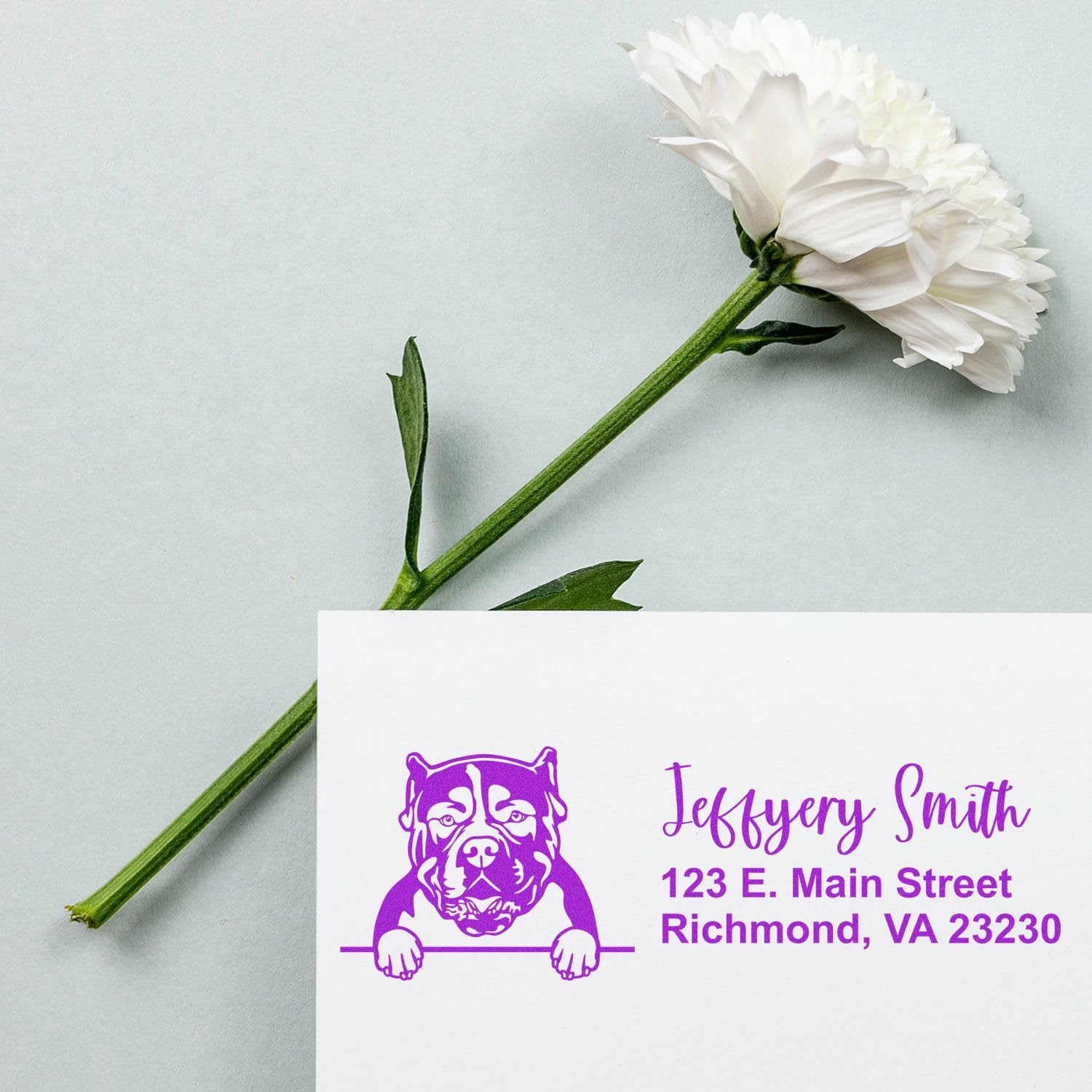 Self-Inking Peeking American Bulldog Address Stamp, Easy Press and Print Stamping, Available in 11 Ink Colors, Rectangular Design, Size 7/8" x 2-1/4" - Image 6