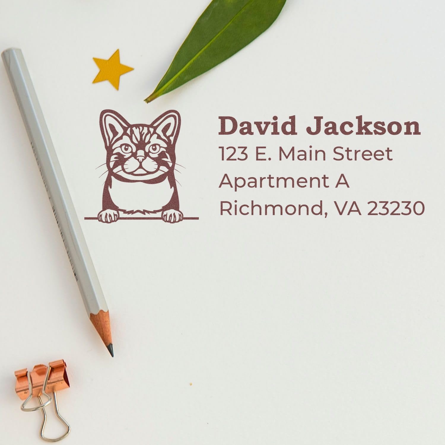 Self-Inking Peeking American Wirehair Cat Custom Address Stamp, Cat Lover Gift, Available in 11 Ink Colors, Rectangular Design, Size 7/8" x 2-1/4" - Image 7